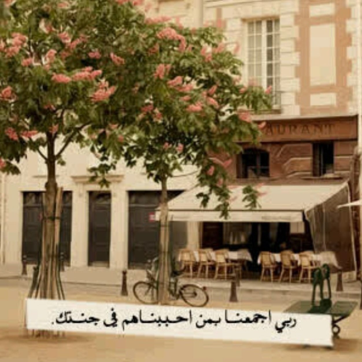 سبحان الله وبحمده.. سبحان الله العظيم..