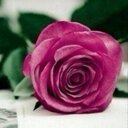 samar 000 (@000Samora) Twitter
