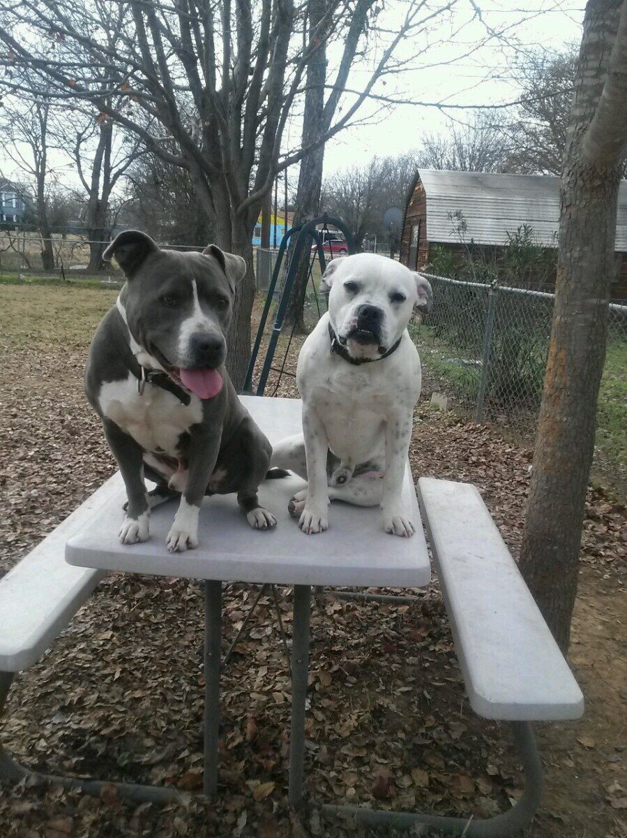 klsmith420's profile picture. Stuck in the WOOD