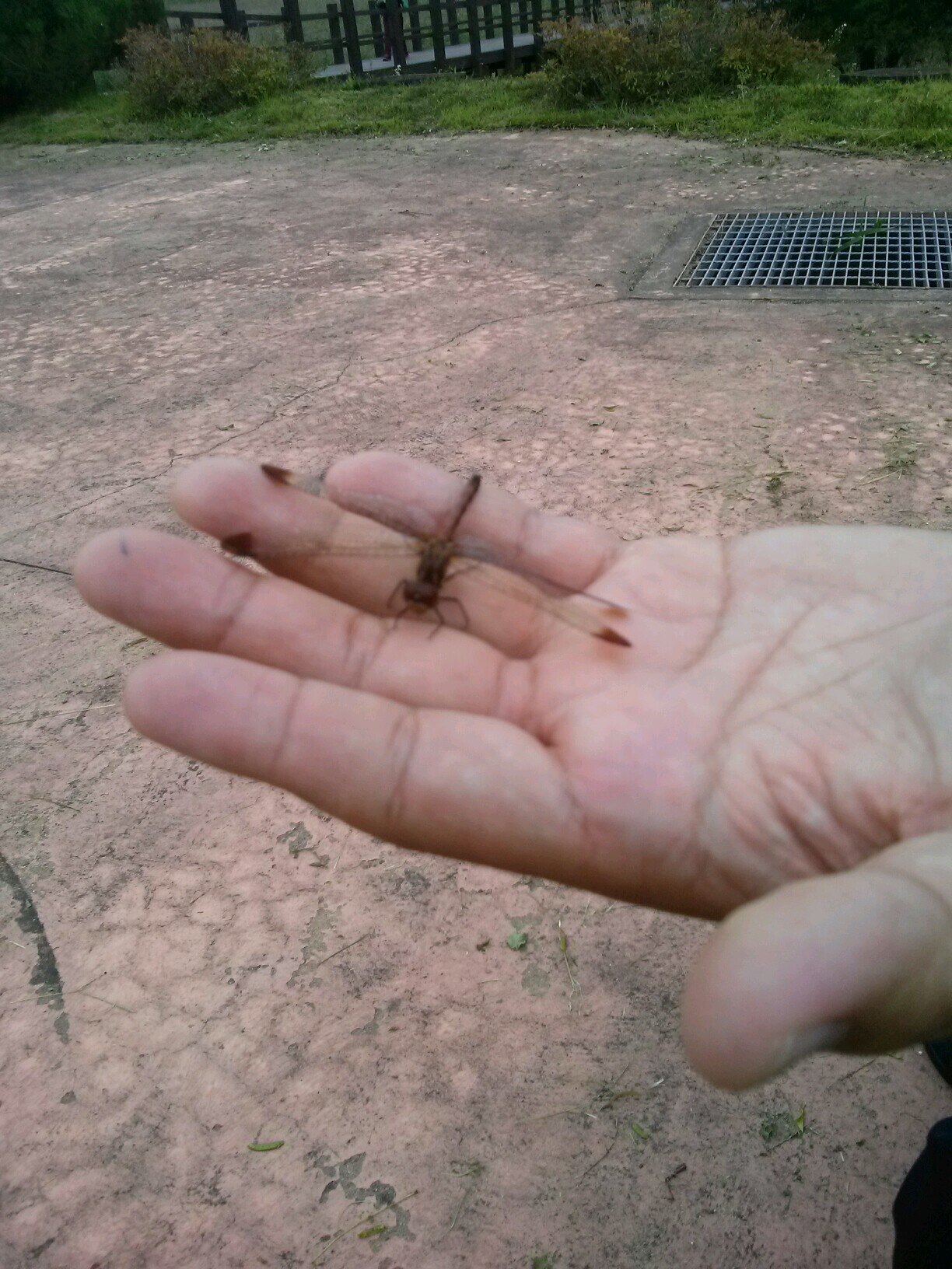 paranet1004's profile picture. 남/운동/여행/영화좋아하고/정치싫어함