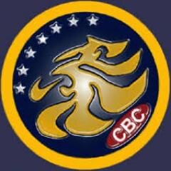 vivan los leones del caracas por siempre y campeones 2013 2014