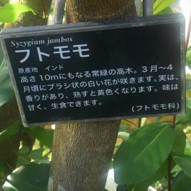 なななーぬぬぬー