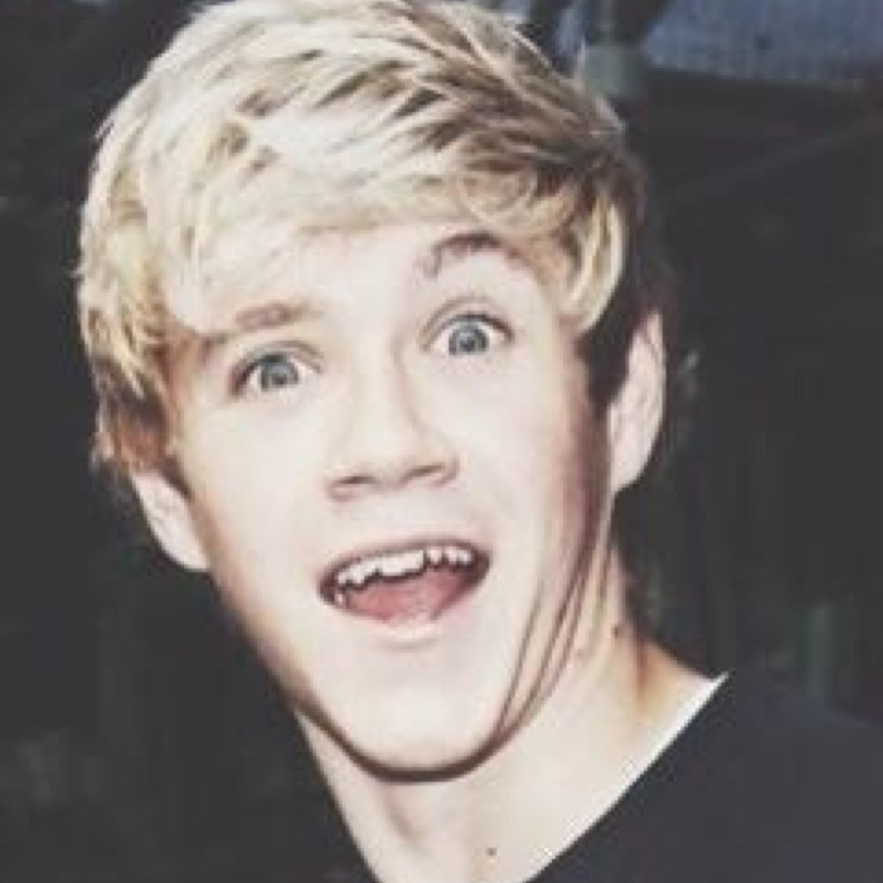 nixllfeels's profile picture. @whiterosezarry