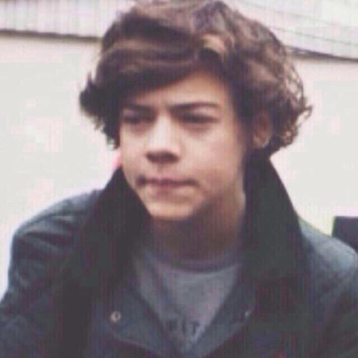 inspirehxrry's profile picture. @whiterosezarry