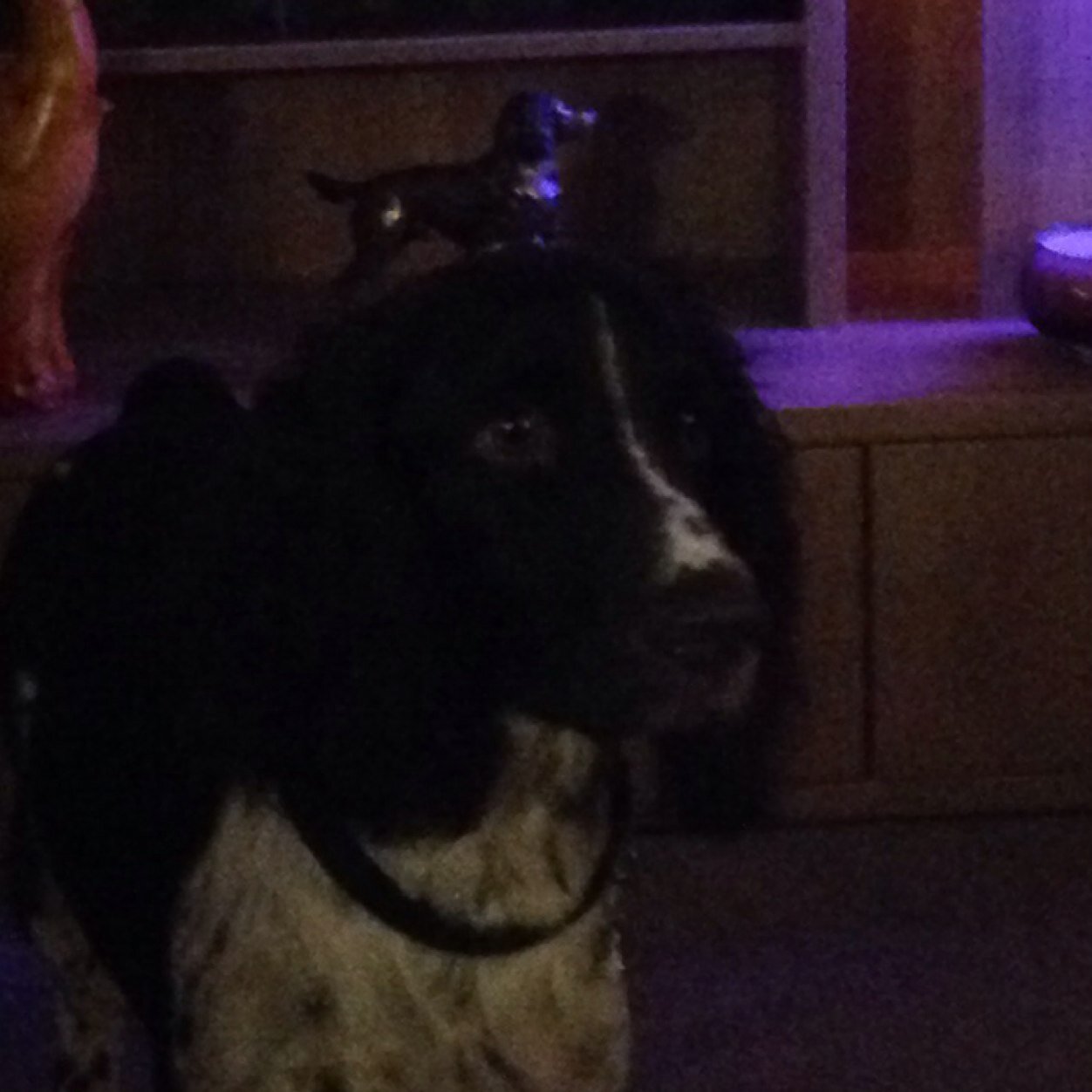 annenkeith's profile picture. 