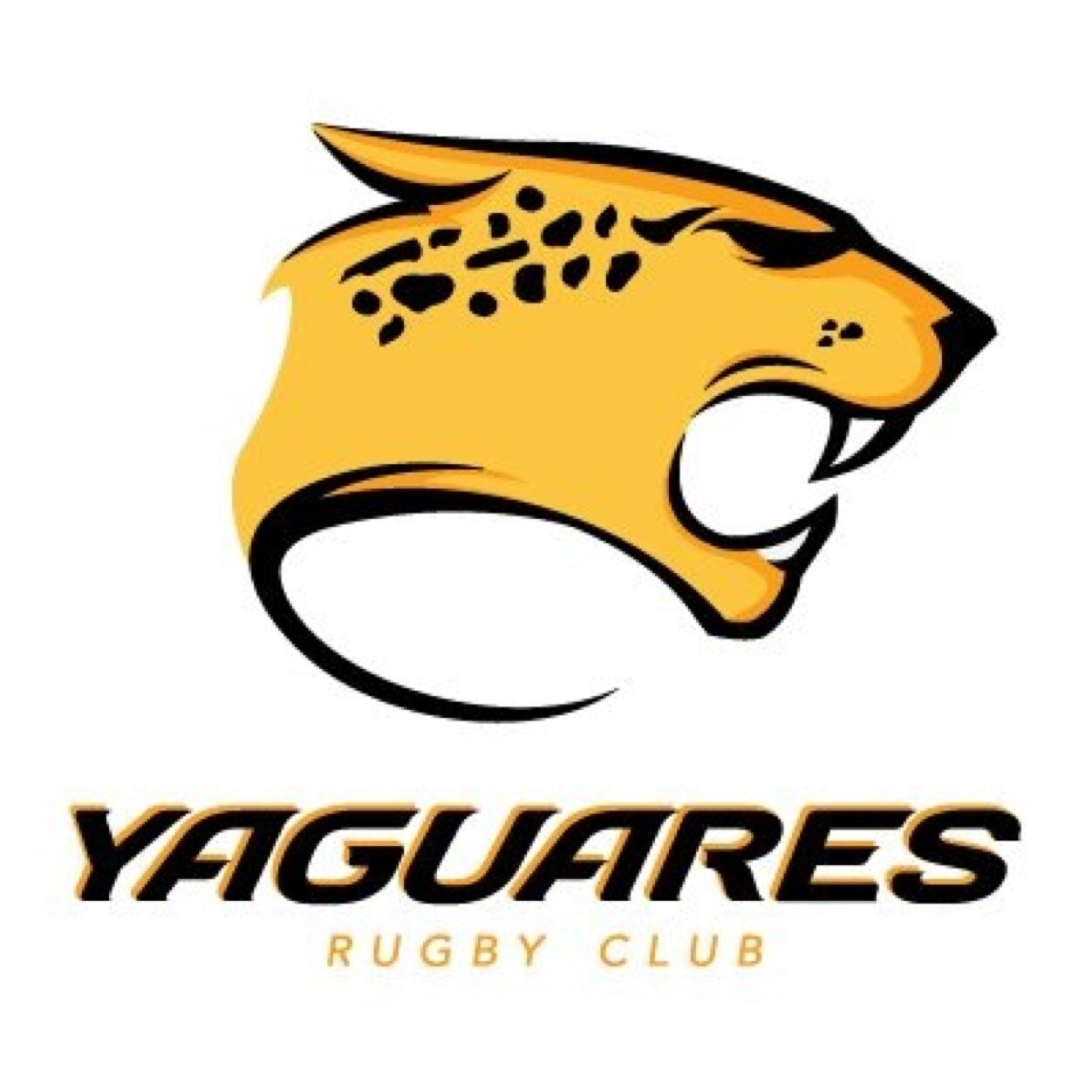 Club deportivo especializado de alto rendimiento con equipos masculino, femenino, juveniles y divisiones inferiores. Te esperamos en @yaguaresrugbyecuador