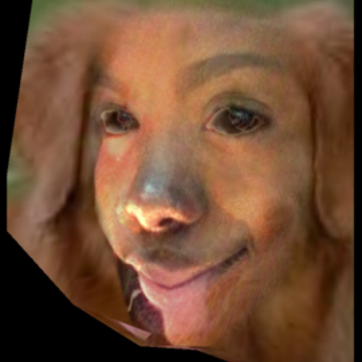 $$$$$$$ {HELL O MY IZPUPS} $$$$$$$ Goal:20k