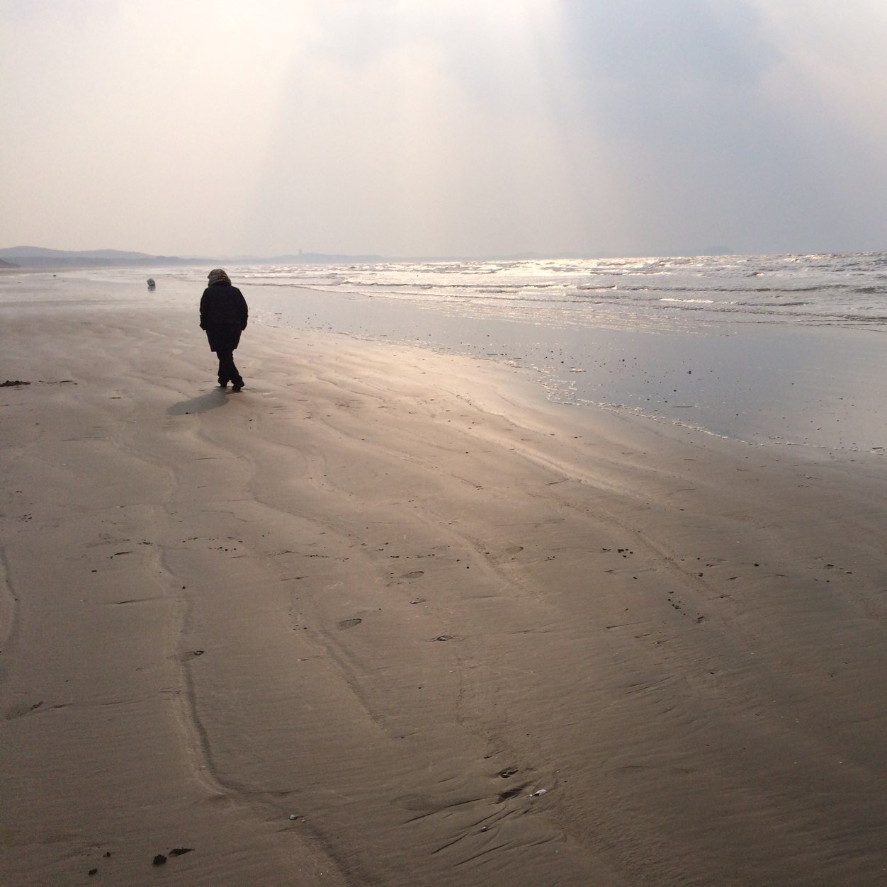 FriendlyChung's profile picture. 혼자 있어도 좋았는데 가고싶은데 못가니 괴로움