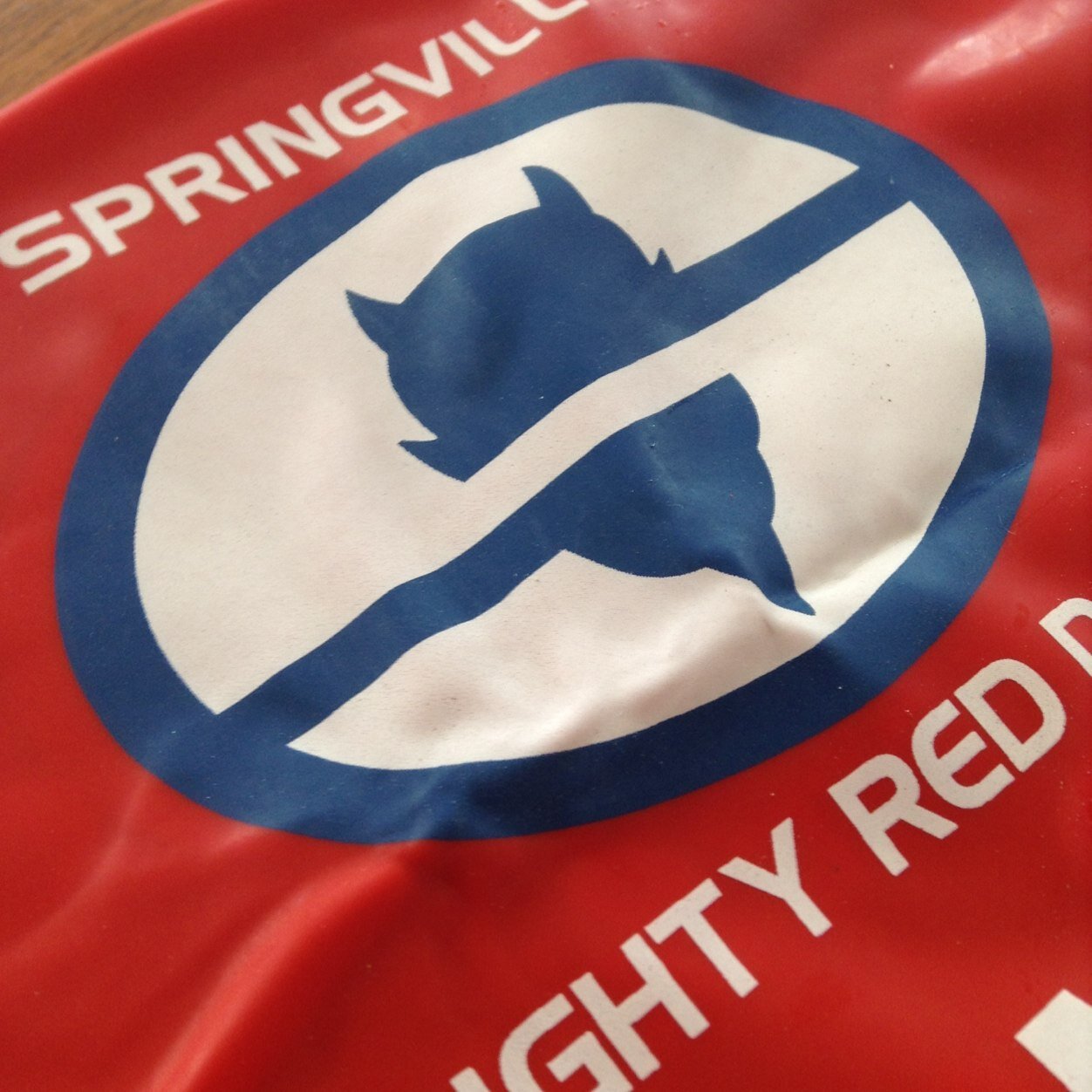 The official twitter account for Springville High School Swimming, State Champions '85 '86 (women), & '07 '08 (men). Have an update? Give us a mention or DM us.
