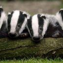 Chris Catlin - @chriscatlin - Twitter