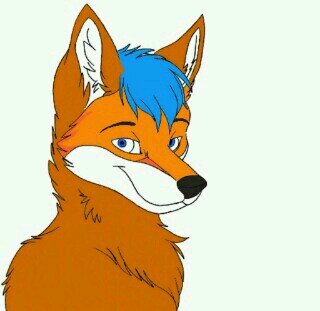 shy fox but loveable when you get to know me :3