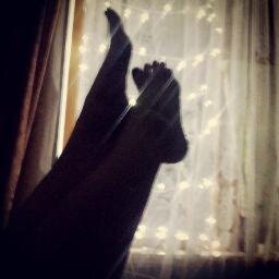 depression_elf's profile picture. Начинающая модель анорексичка. #СолнышкоПьяни #ТеорияБольшогоВзрыва #ВзаимныйФолловинг