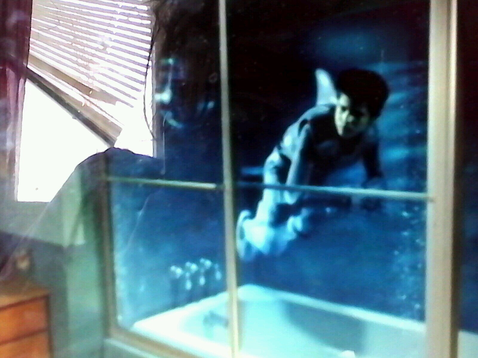 SerioCharles's profile picture. hi im elsa and i have the power to make winter my littl sister is onna