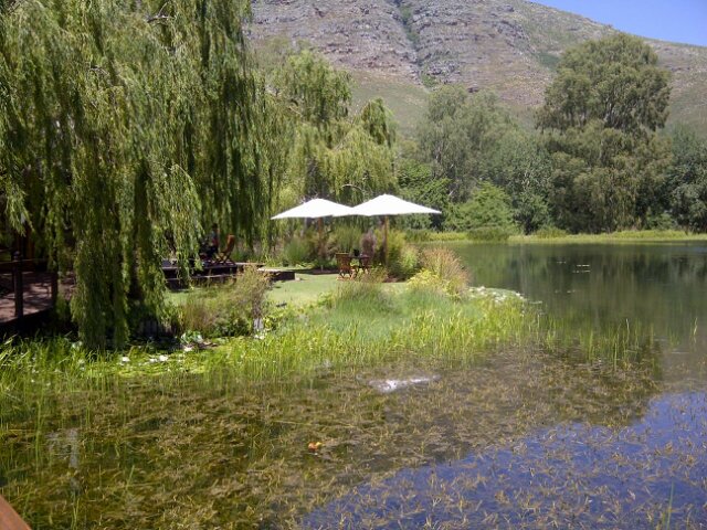 AlidaGrober's profile picture. 