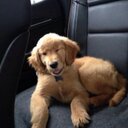 Jeffrey brunner - @jeffreybrunner - Twitter