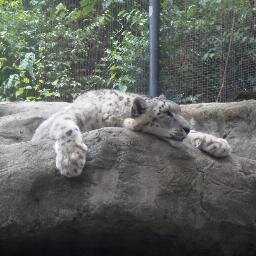 JuliaKantrowski's profile picture. Mom of 2. Love to read and sing. Very sarcastic.