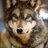 gwfcppit's profile image