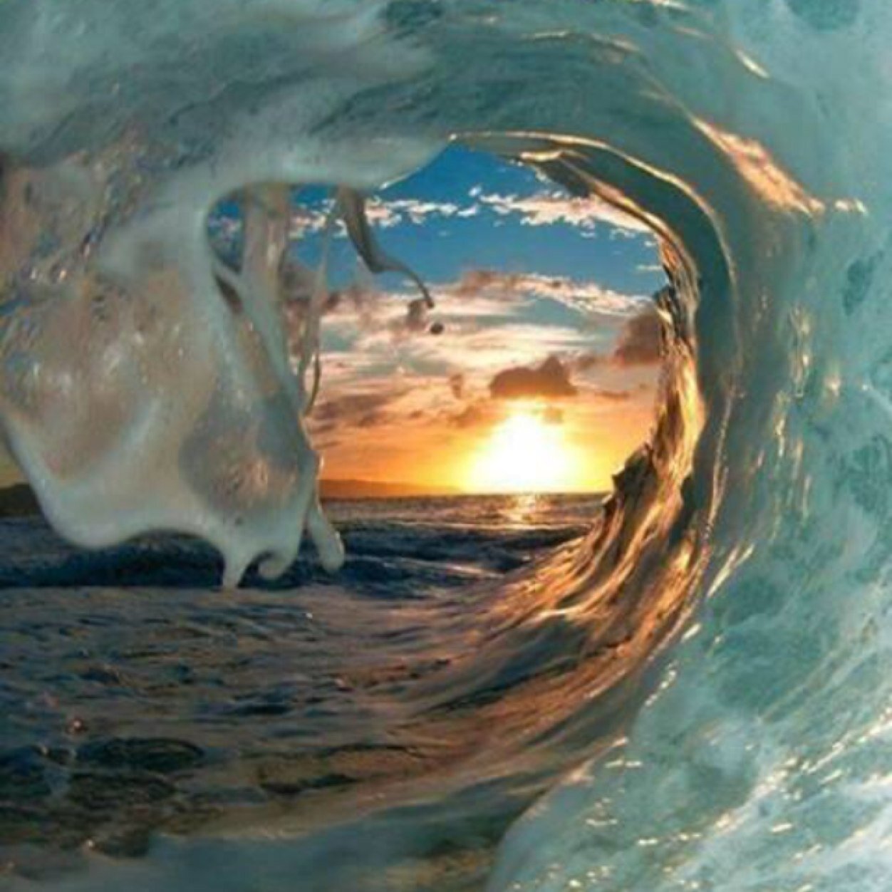 TbarCFSZ's profile picture. I live sport. I love drink, food and travel. Ill try anything once, maybe twice. I live life to its fullest. I love family and friends. X pro drinker.