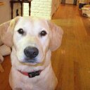 kathleen ramey - @imkramey - Twitter