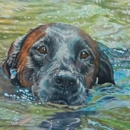 I am a self taught wildlife and pet pencil artist. Whether fur or feathers, a dog or a cat, I just love to create highly detailed lifelike animal drawings.