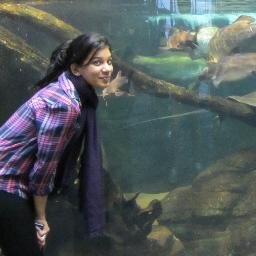 AnkitaTewari_10's profile picture. 