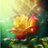 marisabel_7862's profile image