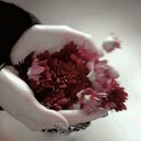 سهام الليل لا تخطئ (@0502195063) Twitter