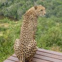 Margaret Abbott - @MargaretAbbott7 - Twitter