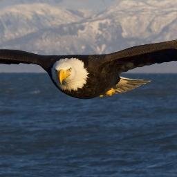 MphhpM's profile picture. 