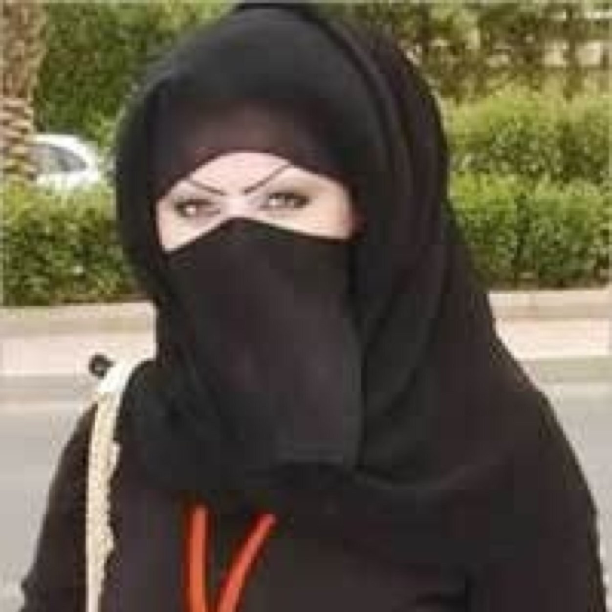 معنى التغلي في مفاهيم آلآحبإب
درب يؤديُ  للمفارق على طـول
