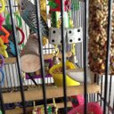 Nell Frazier - @NellMFrazier - Twitter