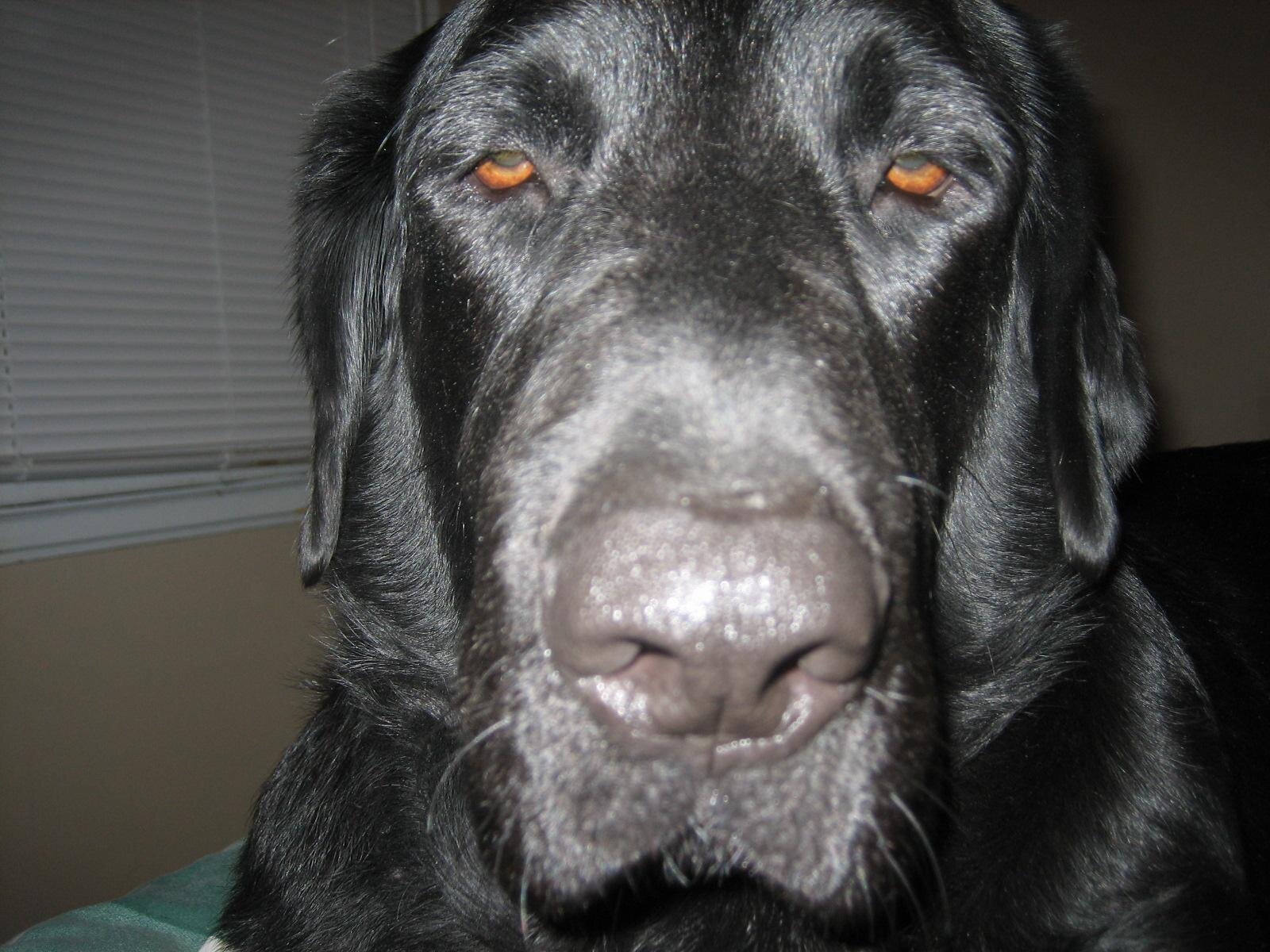 SumOneHas2SayIt's profile picture. 