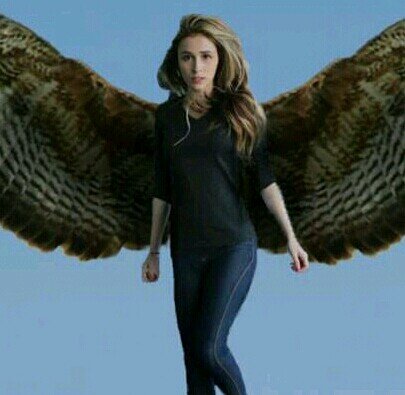 Your average teenage girl; except I have wings, can kick serious butt, and I kinda have to save the world. Lucky me, right? [RP-18+/Taken by @SilentButLoyal]