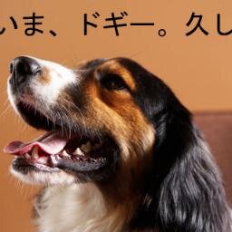 julianbouma's profile picture. The first number not nameable in under eleven words appears to name it in nine.