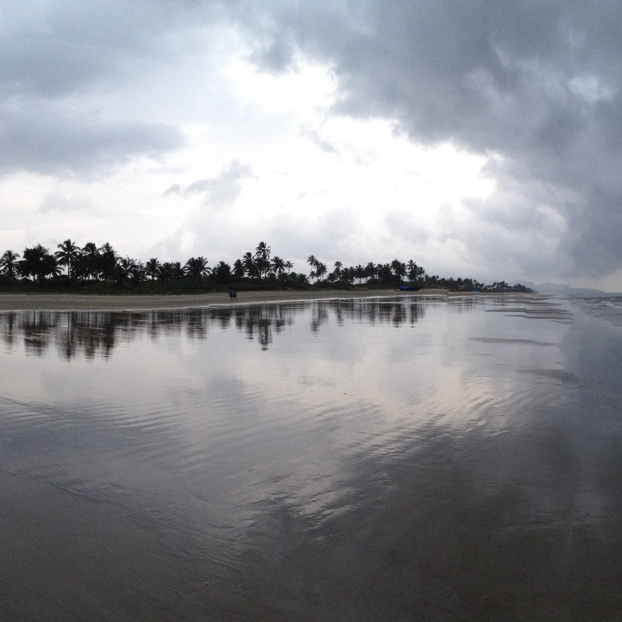 Tech Mahajan Profile