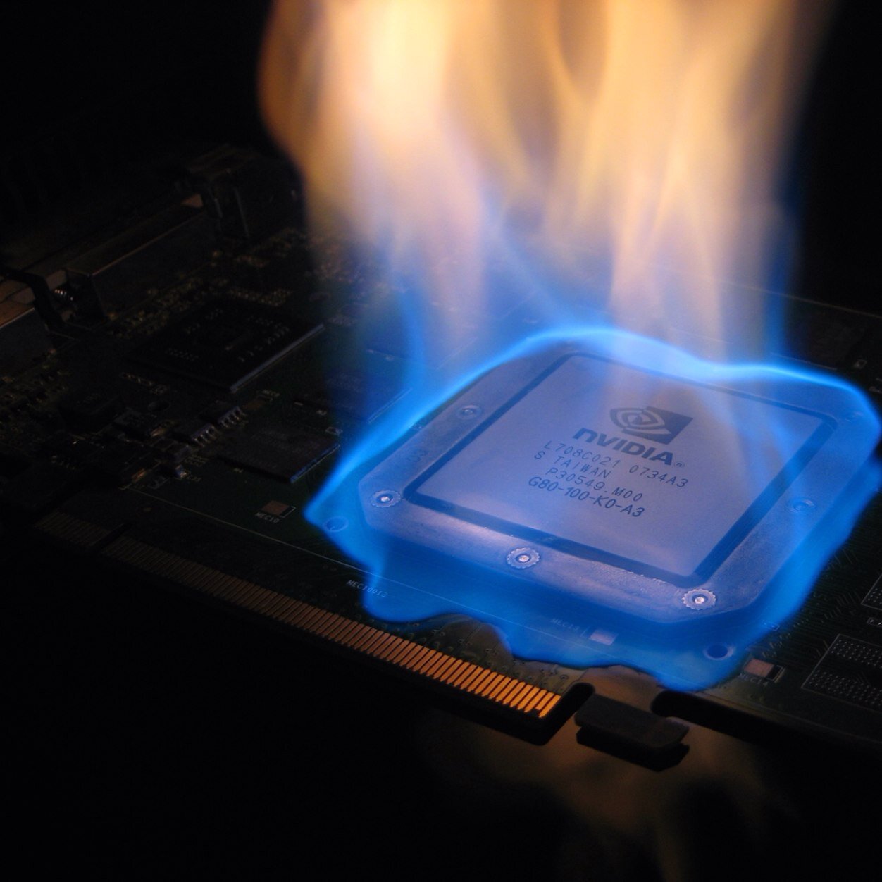 olchimmichanga's profile picture. 