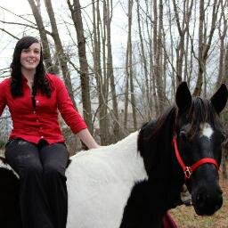 Harly's Gentle Horse Training focuses on the horse-human bond, trust, leadership, and friendship while training horses.