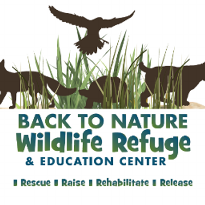 Back To Nature Btnwildlife Twitter Back To Nature Btnwildlife Twitter