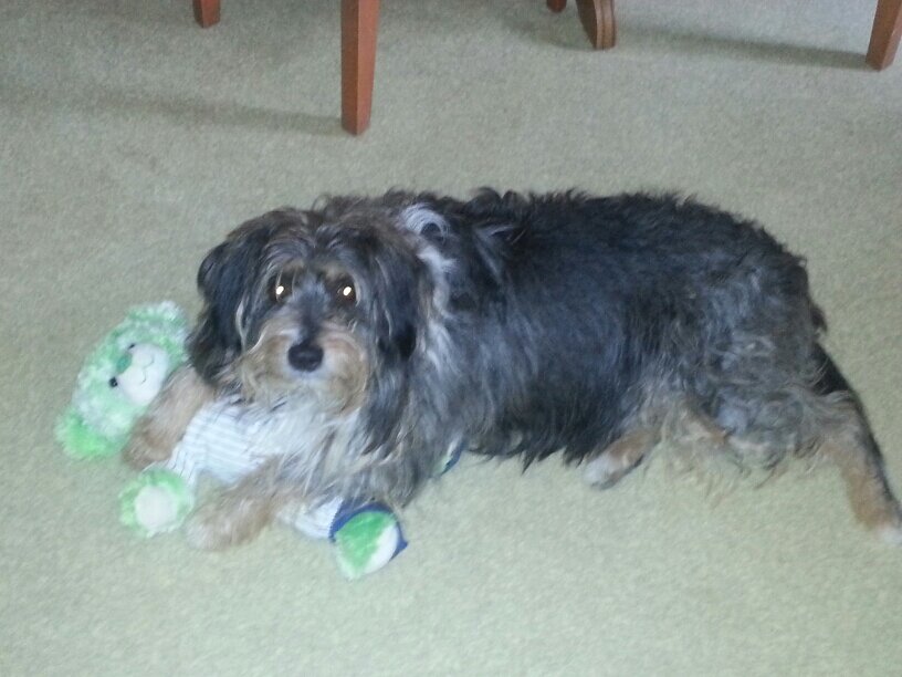 parsnips384's profile picture. 