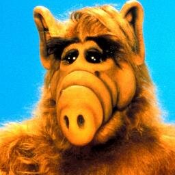 mnwolve3's profile picture. Loves cats, green skies, lint, gravel, and foam. And sports.