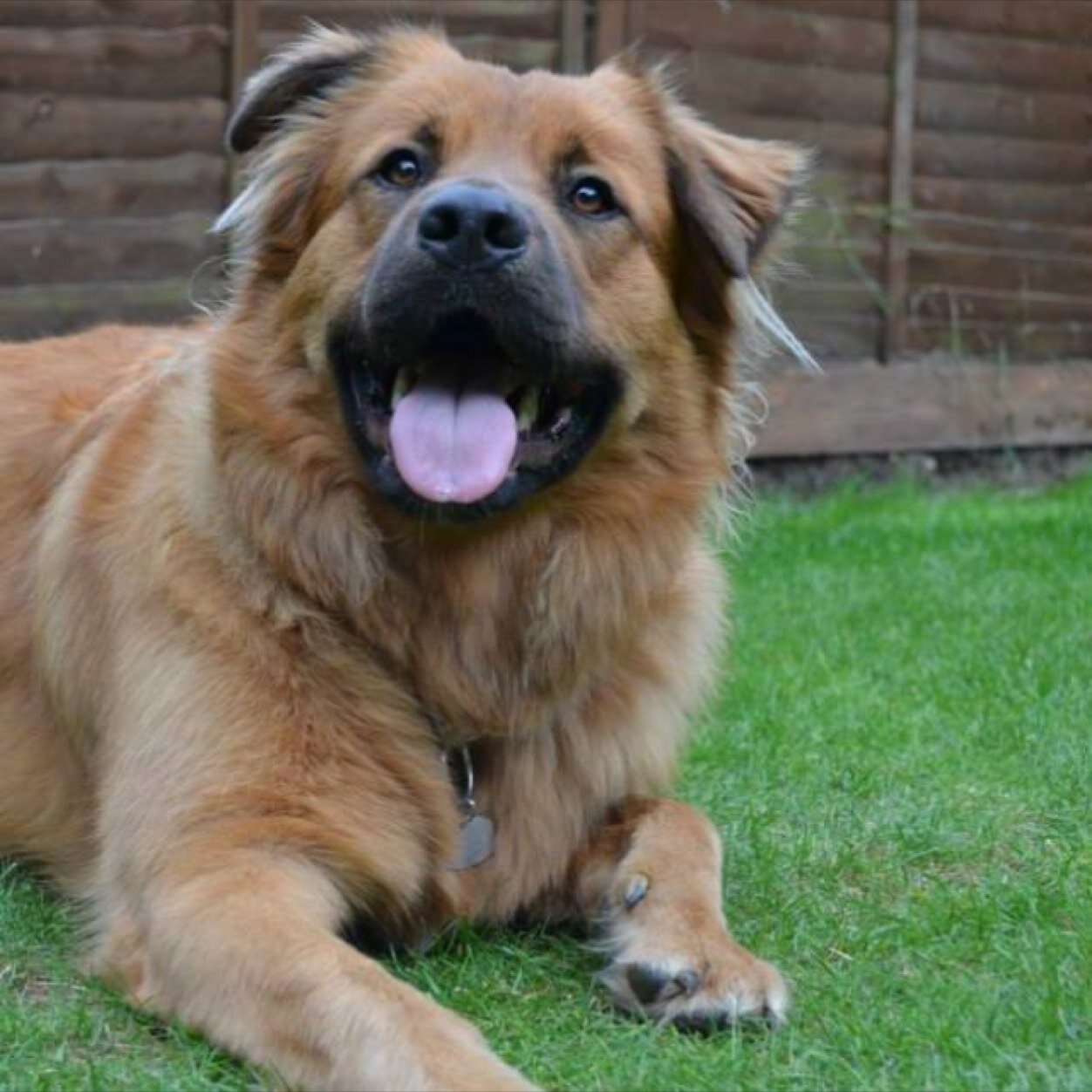 JamesMarrshall's profile picture. I ain’t no ghost 👀