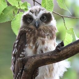 Join me on Bluesky. Aussie.