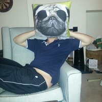 Mr. Dog BSc(@__The_Dog__) 's Twitter Profile Photo