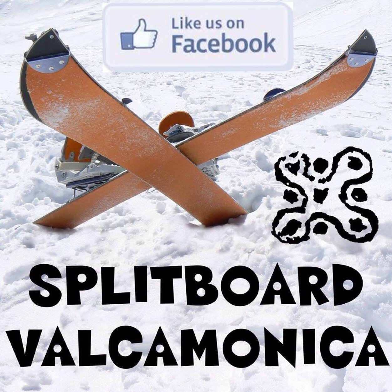 SplitboardValC's profile picture. 
