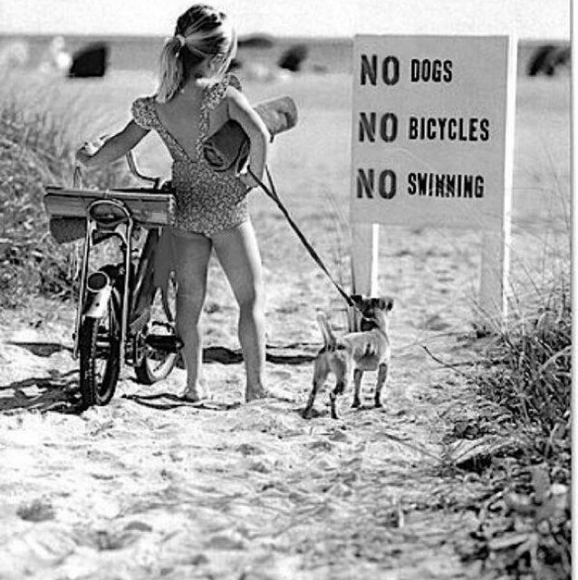 sharonlia5's profile picture. 