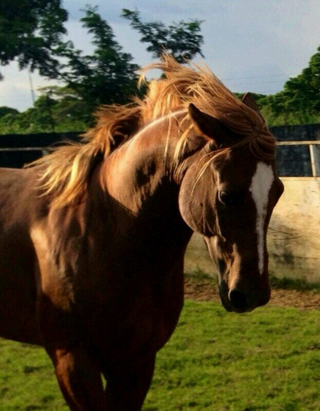 lorerivas02's profile picture. 