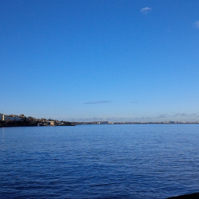 tjdromore's profile picture. 