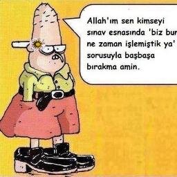 hayvan sever pizza delisi bir baattinimm