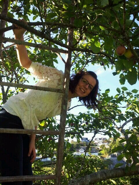 MSc in Economics and Business Adm.