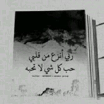 ‏‏‏بشرى لأهل التغريدات [ الصالحة ]، قال صلى الله عليه وسلم: «من دعا إلى هدى، كان له من الأجر مثل أجور من تبعه، لا ينقص ذلك من أجورهم شيئا».